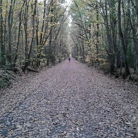 بيت للعطل Sweet Country In Normandy